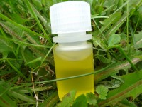 Haselnussöl, kbA, 50ml Haselnussöl, kbA, 50ml