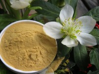 Teufelskralle, gemahlen, Bio, 30g Teufelskralle, gemahlen, Bio, 30g