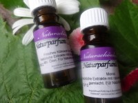 Thymian, Thymus vulgaris, Spanien Thymian, Thymus vulgaris, Spanien