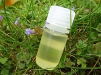 Rizinusöl, kbA Rizinusöl, kbA