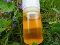 Sacha Inchi Öl, kbA, Rezept, z.Z. nicht lieferbar Sacha Inchi Öl, kbA, Rezept, z.Z. nicht lieferbar