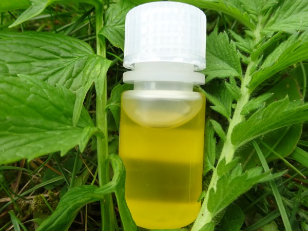 Heublumenöl, Mazerat in Sonnenblumenöl, Bio