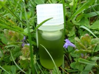 Traubenkernöl, kbA Traubenkernöl, kbA