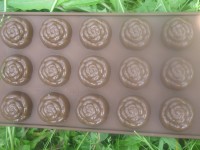 Minisilikonformen, Rose Minisilikonformen, Rose