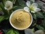 Orangenpulver, microfein, BIO, 50g