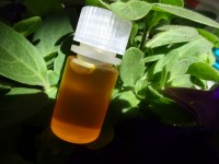 Senf Öl, kbA Senf Öl, kbA