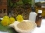 Amla, Emblica officinalis, Pulver,100g