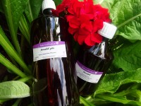 Sepigel, Sepilife nude, ab 100g Sepigel, Sepilife nude, ab 100g