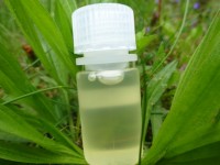 Rizinusöl, kbA, nichttrocknend Rizinusöl, kbA, nichttrocknend