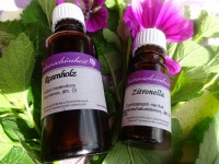 Aloe-Vera 10fach Aloe-Vera 10fach