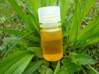 Brokkolisamenöl - kbA Brokkolisamenöl - kbA