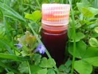 Sanddornfruchtfleischöl, Bio Sanddornfruchtfleischöl, Bio