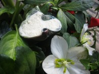 Xanthan, bei Rheocare schauen, ist das neue Xanthan Xanthan, bei Rheocare schauen, ist das neue Xanthan