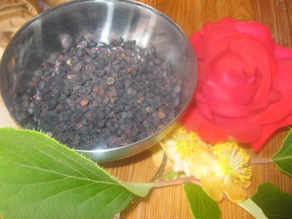 Johannisbeeren ganz, Ribes nigrum, Bio, 50g,z.Z. nicht lieferbar