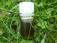 Avocadoöl, Bio, roh, grün, kbA Avocadoöl, Bio, roh, grün, kbA