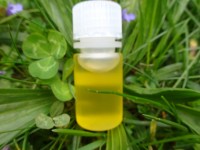 Veilchenöl, Mazerat - 30ml, Veilchenöl, Mazerat - 30ml,