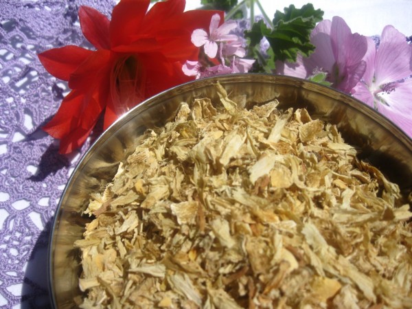 Ysop, Hyssopus officinalis