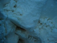 Sheabutter, roh, kbA, wieder im Nov. lieferbar Sheabutter, roh, kbA, wieder im Nov. lieferbar