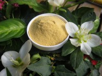 Veilchenwurzel, gemahlen, Bio, 30g Veilchenwurzel, gemahlen, Bio, 30g