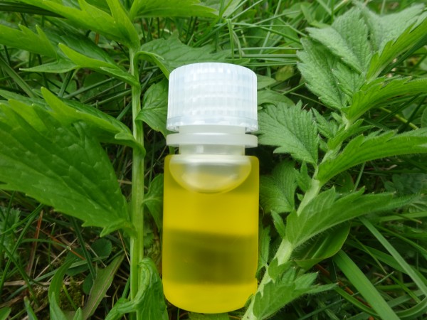 Efeuöl, Mazerat in Sonnenblumenöl,- 30ml, z.Z.nicht lieferbar