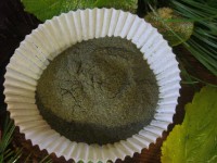 Brennessel, gemahlen, Bio, 100g Brennessel, gemahlen, Bio, 100g